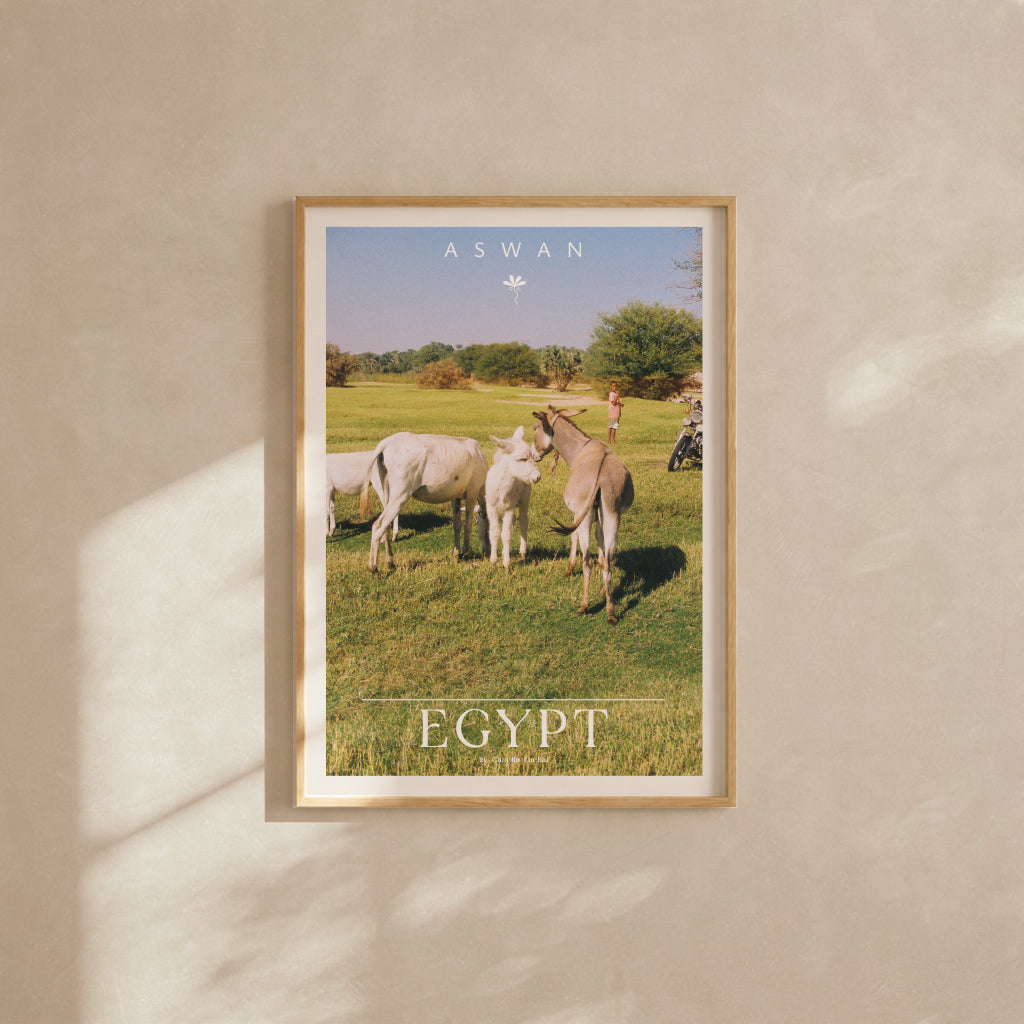 Egypt Travel Fine Art Print — Aswan Countryside | Analog Film Photography Poster | Egypt Wall Art
